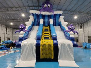 China Commercial Outdoor Popular Inflatable Water Slide Ocean Cartoon Inflatable Water Double Slide For Kids And Adults factory