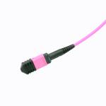 Multimode 12F MPO MTP Patch Cord 50/125μm Om4 Fiber Optic Cables For Telecom