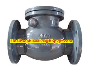 China BS5153 PN16 cast iron swing check valve factory
