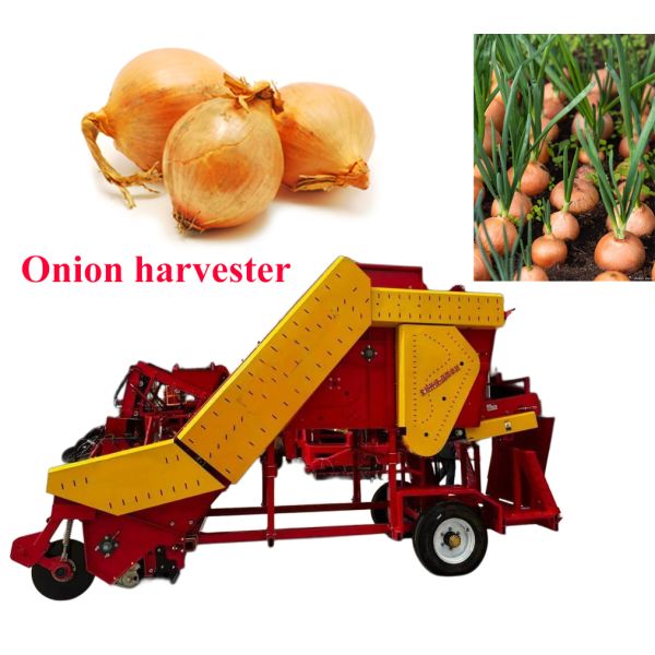 China onion harvesting machine harvester factory