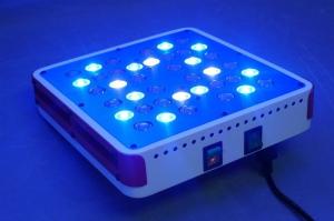 China 2 switches veg&amp;flower led grow lights 2016 hotest 400W 5W chips led grow lights,80*5W factory