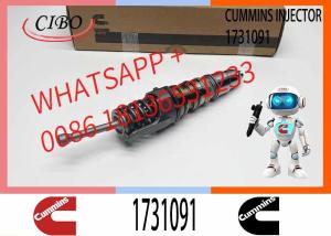 China Diesel Fuel Pump Unit Injector Assembly 1731091 579253 579264 1846351 Engine Parts factory