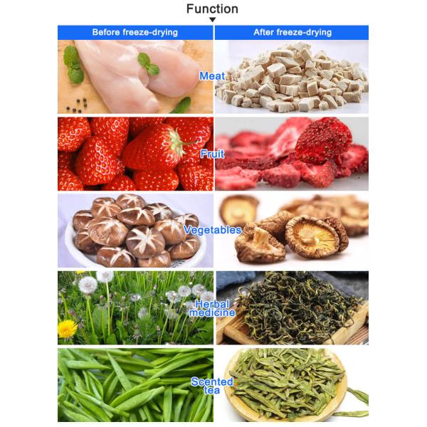 freeze dryer function