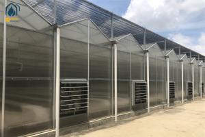 China Heavy Duty Smart Cultivation Polycarbonate Greenhouse Automated Hydroponic Greenhouse factory