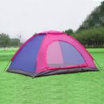 family Camping Tent Waterproof Backpacking Tent 2 Person with Carrying Bag Dome