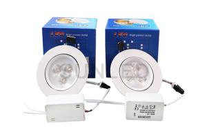 China 220V 3W Recessed COB Led Downlight Ceiling Surface Mounted factory