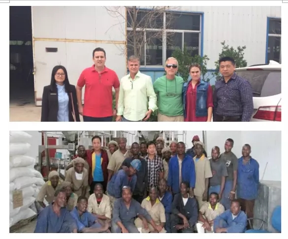 Automatic pet food extruder machine equipment production line