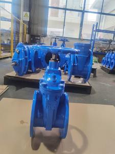 China PN10 Flanged DIN F4 Gate Valve Resilient Seated Valves Ductile Iron factory