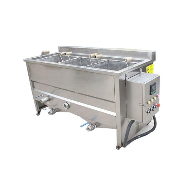 Hotels Industrial Automatic Fryer for Frying Potato Chips and Peanuts in Double