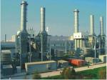 Gas Fired Power Plants , Simple Cycle Power Plant Station BV IEC Certification