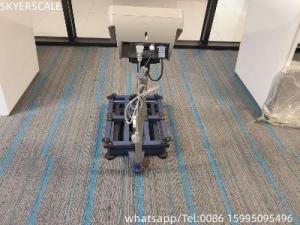 China Platform Electronic Weighing Balance Economy Bench Scale 300kg factory