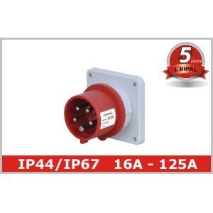 Watertight IP67 Pin and Sleeve Plug Three Phase IEC Nonmetallic