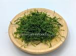 Wild-Harvested Prolifera Seaweed Flakes Olive Green 120g Jar Ideal For Seasoning