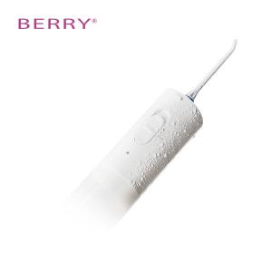 China Travel Bathrooms ABS PC Oral Irrigator 2 Speed Mode White factory