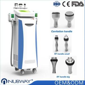 China cryolipolysis equipment / body slimming cryolipolysis / cryolipolysis fat freeze factory