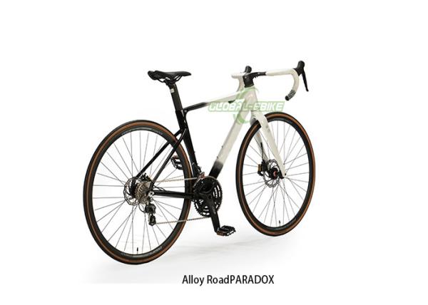 Aluminum Alloy Road Bicycle Stainless Steel Spokes Mechanical Hydraulic Brake