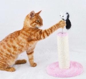 China Durable Flat Cardboard Cat Scratcher , Reversible Cardboard Scratching Pad SGS factory