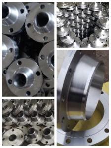 China Nickel Alloy Flanges UNS N10003 Forged Weld Neck Flange ANSI B16.5 SCH10S 300# For Oil/Gass factory