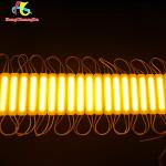 13000k COB LED Light 2W Injection Module 12V Waterproof Energy Saving