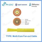 GJFJV Indoor 12 Core Single Mode Fiber Optic Break Out Cable with Strengthened