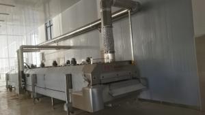 China DJL Liquid Nitrogen Machine Tunnel Freezer Products Freezing For Seafood Shrimp Meat factory