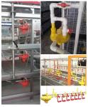 Chicken farm with automatic feeder winch main auxiliary 45 Feed Line Lifting Cup