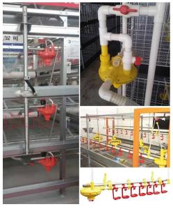 China Chicken farm with automatic feeder winch main auxiliary 45 Feed Line Lifting Cup round pipe water line chicken house fee factory