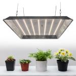 FCC Knob Dimming IP65 Horticulture LED Grow Lights For Greenhouse
