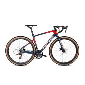 China Unisex Carbon Fiber Gravel Bike , RETROSPEC Gravel Bike 8.5KG Holographic factory