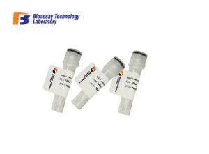 China ABCB5 Mouse Monoclonal Antibodies For Research 100ul / 50ul / 20ul High Purity factory