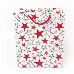 Laides clothes garment art paper bag soft shoes packaging bags logo printed