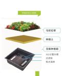Square Shape Sedum Green Roof Tray for Plastic Large Garden Planter and Green