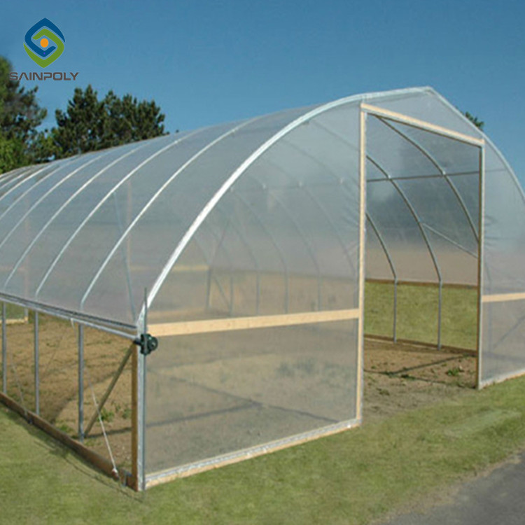 China 0.5KN/M2 Clear Polythene Single Tunnel Greenhouse factory