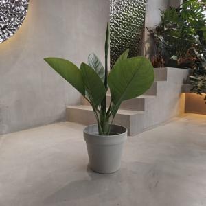 China Vibrant Eco Friendly Plastic Garden Pots Waterproof 250*175*230MM factory