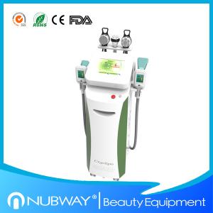 China Best effective Cryolipolysis Slimming Machine Made in China factory