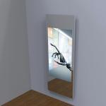 RFID Reader Touchable Household Workout Mirror Great Size