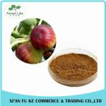 2017 New Product GMP Manufacture Supply Water-soluble Organic Fig Fruit Extract