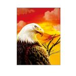 30x40cm Size 3D Pictures Of Animals 0.6mm PET Material Durable