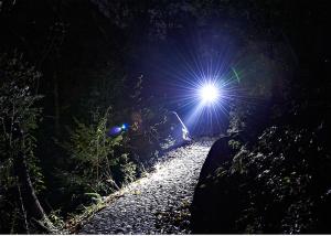 China XML T6 Ultra Brightest Mini Led Flashlight 130mm Length 5 Light Modes factory