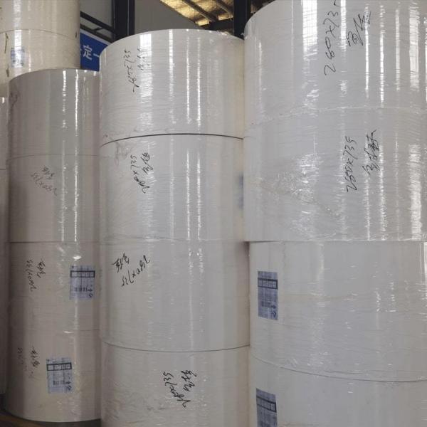 Logo Designed Wholesale Printing Paper Cup Fans Raw Material With Single Double PLA Coated