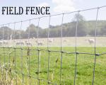 Good Ventilation Field Wire Fence Easy Maintenance Short Installation Period