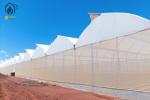 Energy Efficient Tropical Multispan Greenhouse With Temperature And Humidity
