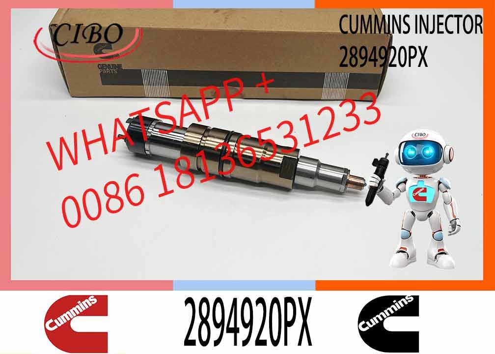 Common Rail Injector Fuel Injector 2894920PX 2058444 2482244 2031386 For ISZ13 Excavator DC09 DC16 DC13