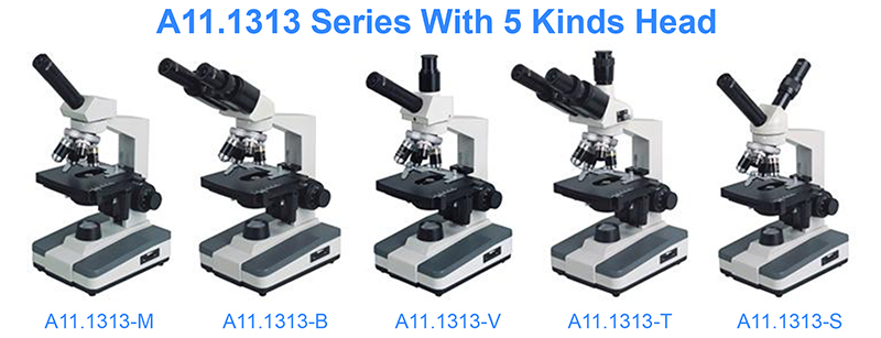 Halogen Light Student 1000x WF10X Biological Compound Microscope