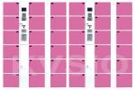 Smart Coin Operated Parcel Delivery Lockers Unique Design Custom Logos Printing