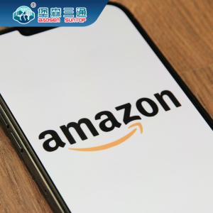 China Amazon FBA DDP Ocean Shipping Company Food Sea Freight China to UK / Europe / USA factory