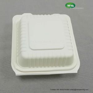 China 6 inch hamburger box non soggy, leak proof, disposable to go boxes made from cornstarch factory