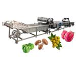 Custom Accepted Wide Range Application Citrus Dragon Fruit Washing Machine 220v
