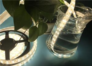 China High Lumen SMD 5050 Flexible LED Strip Light 24VDC Double Row factory
