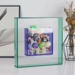 Multifunctional Wall Mounted Acrylic Photo Frame Acrylic Frame Shadow Box
